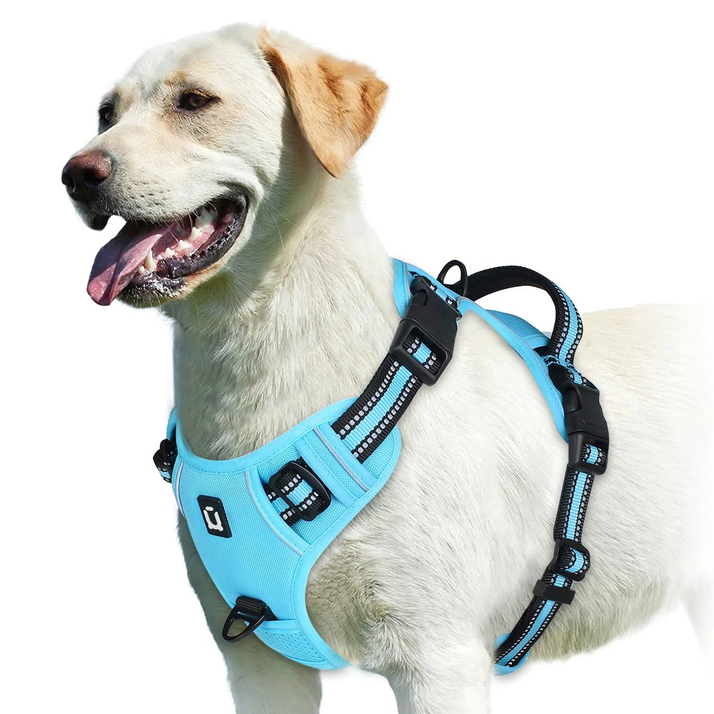Harnais anti-traction pour chien - Confort & Sécurité