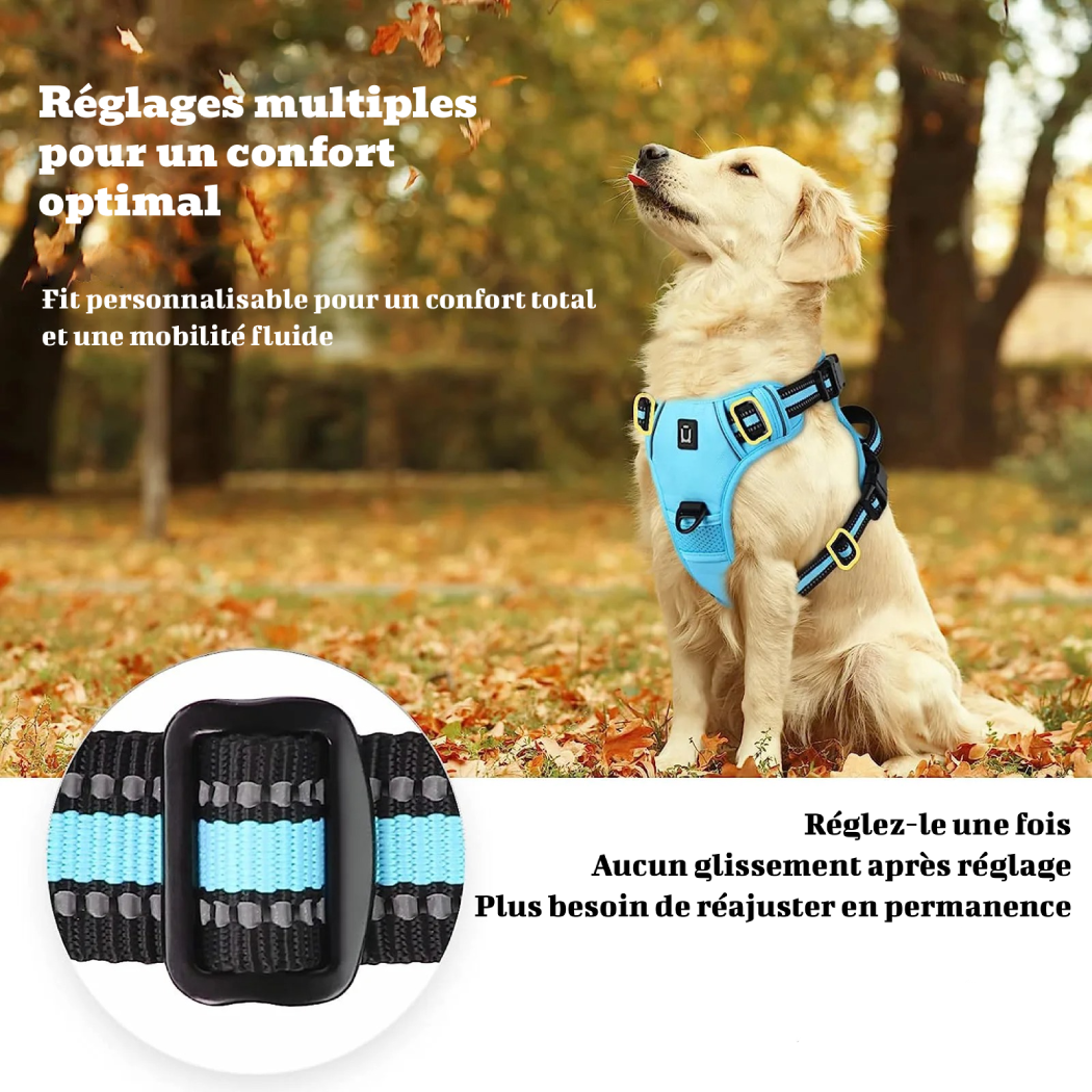 Harnais anti-traction pour chien - Confort & Sécurité