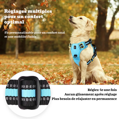 Harnais anti-traction pour chien - Confort & Sécurité