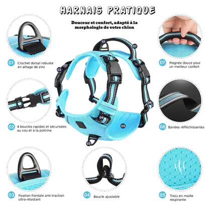 Harnais anti-traction pour chien - Confort & Sécurité