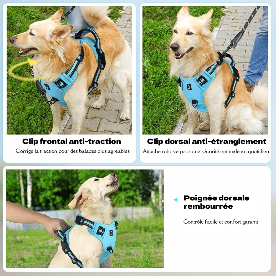 Harnais anti-traction pour chien - Confort & Sécurité