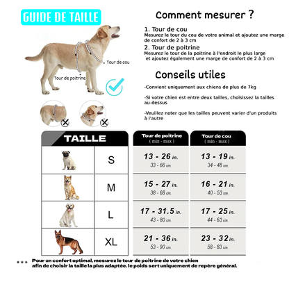 Harnais anti-traction pour chien - Confort & Sécurité
