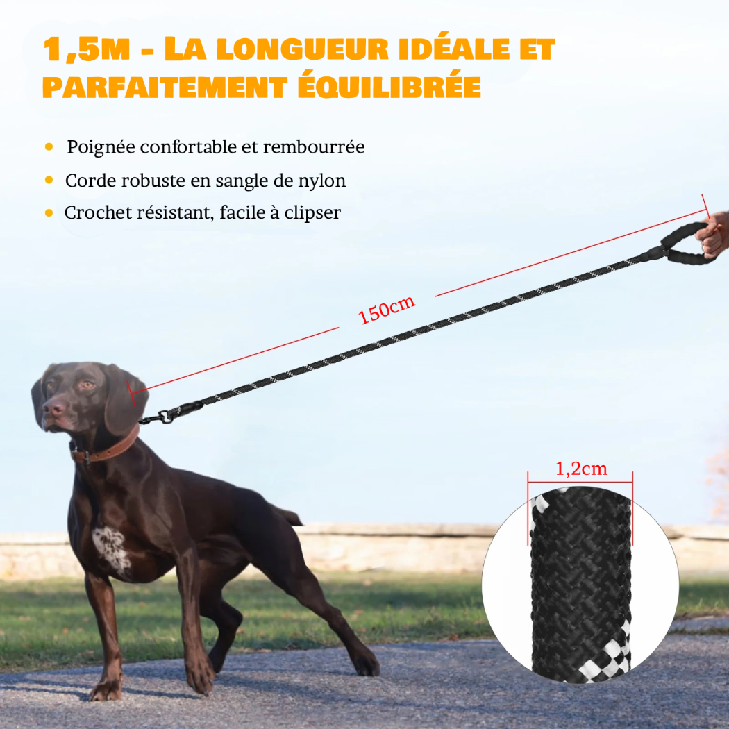 Laisse Confort+ Sécurisée