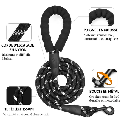 Laisse Confort+ Sécurisée