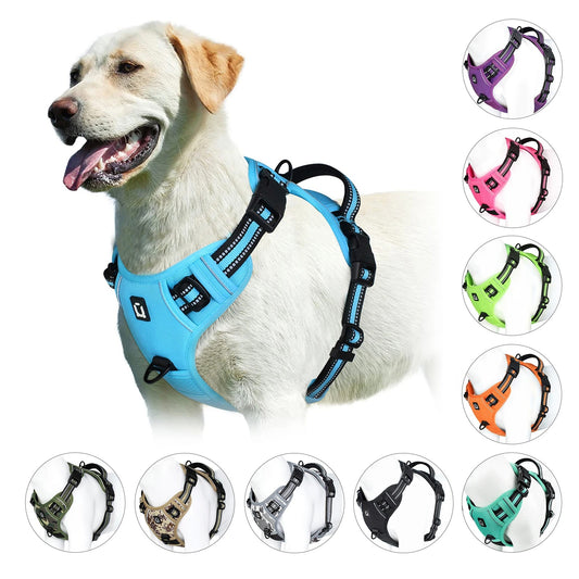 Harnais anti-traction pour chien - Confort & Sécurité