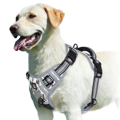 Harnais anti-traction pour chien - Confort & Sécurité