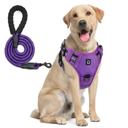 Pack Duo : Harnais Anti-Traction + Laisse Premium