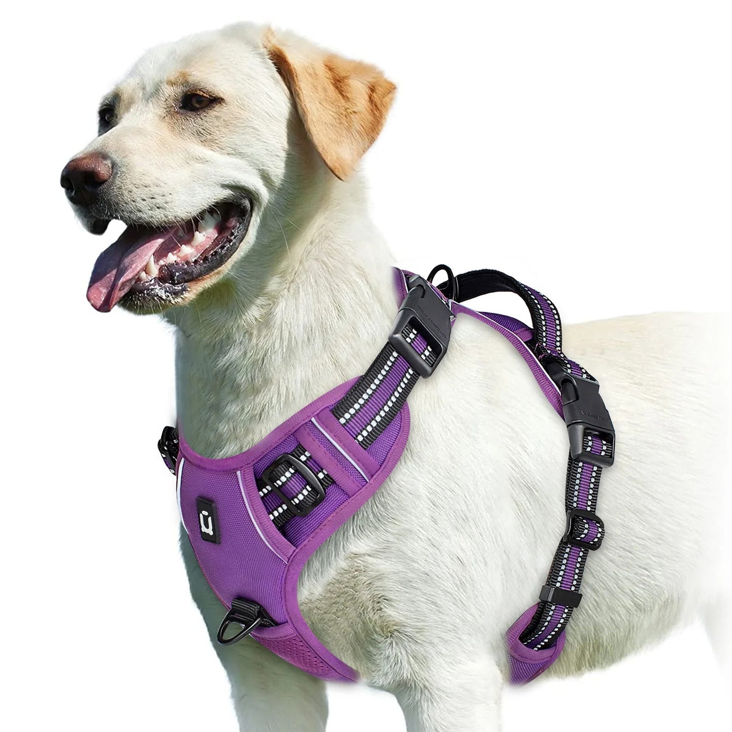 Harnais anti-traction pour chien - Confort & Sécurité