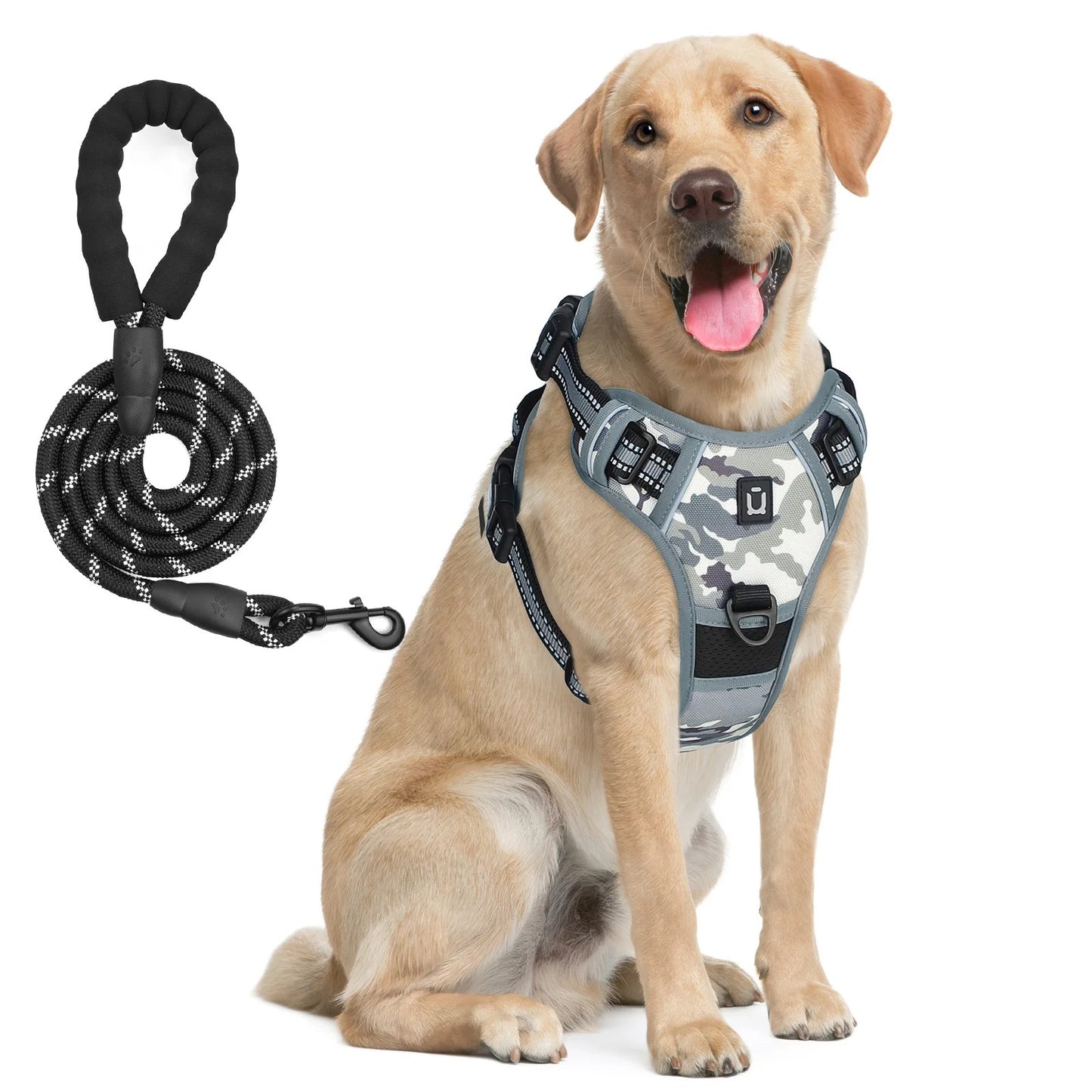 Pack Duo : Harnais Anti-Traction + Laisse Premium