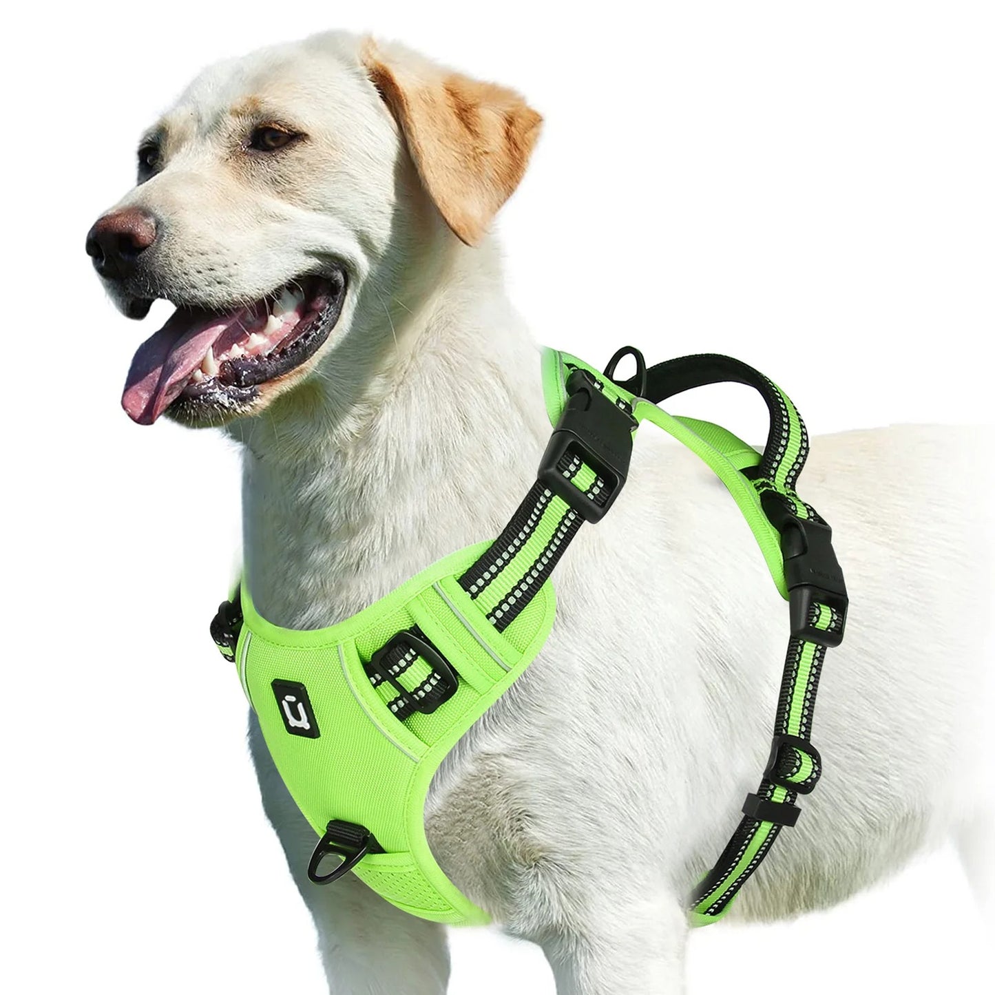 Harnais anti-traction pour chien - Confort & Sécurité