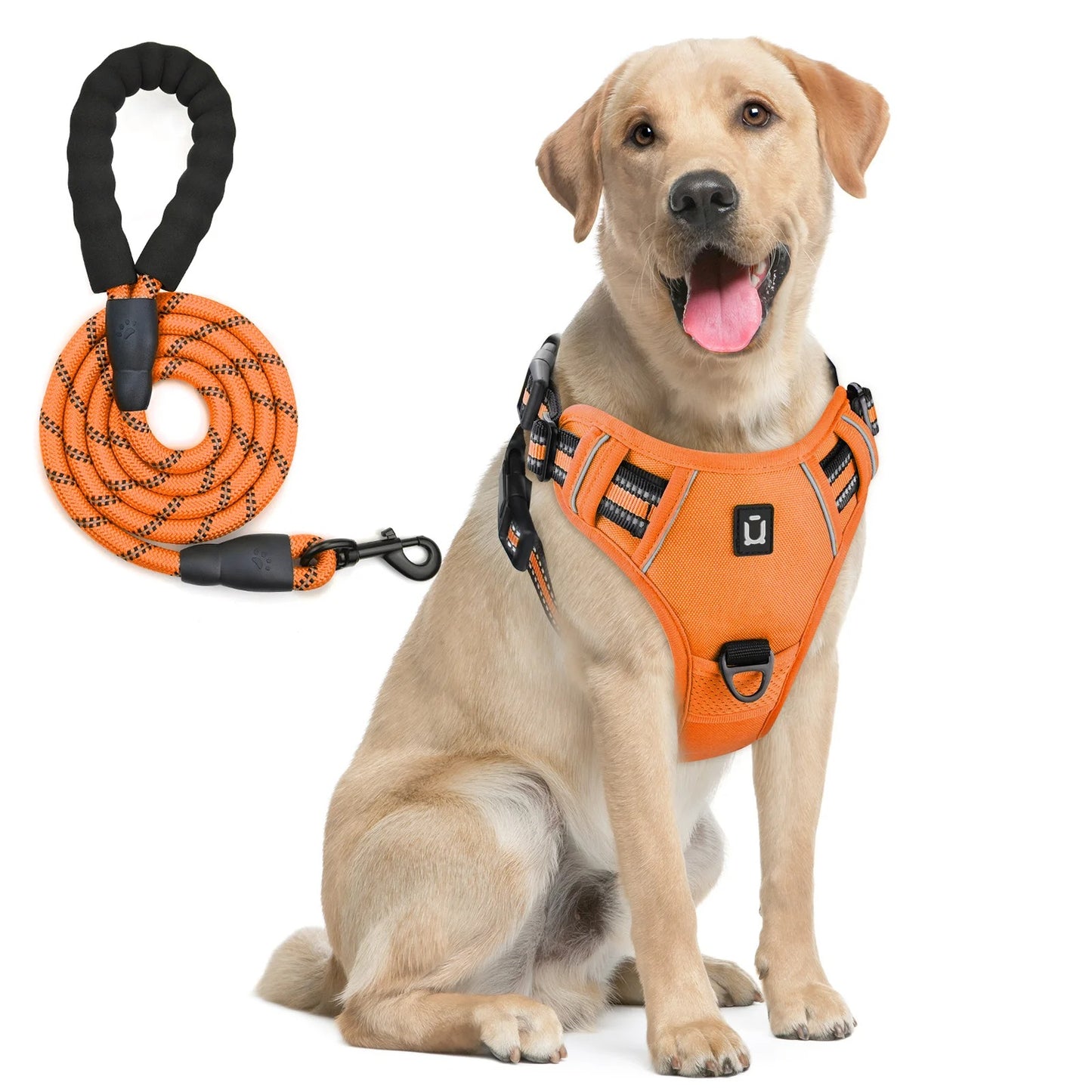 Pack Duo : Harnais Anti-Traction + Laisse Premium