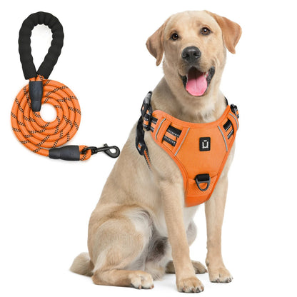 Pack Duo : Harnais Anti-Traction + Laisse Premium