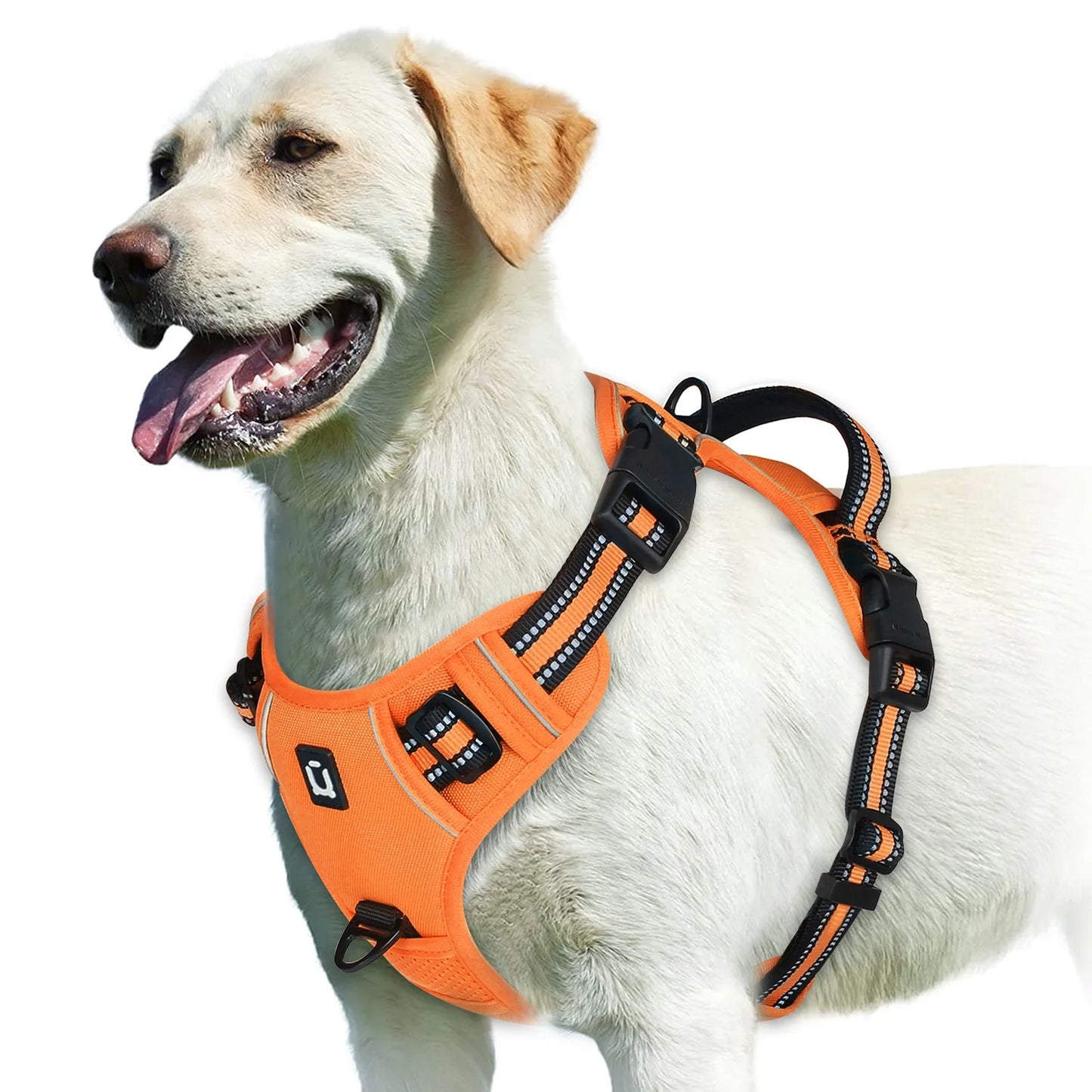 Harnais anti-traction pour chien - Confort & Sécurité