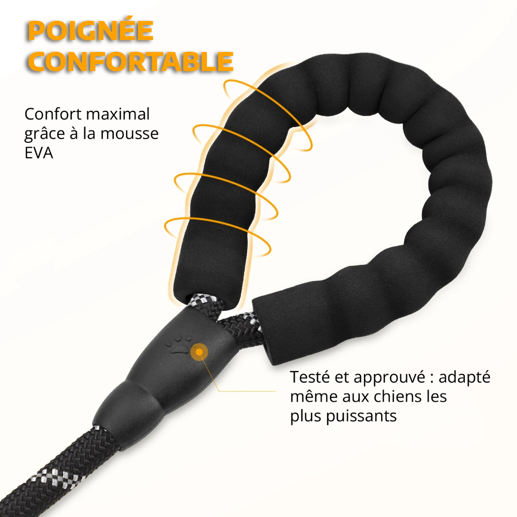 Laisse Confort+ Sécurisée