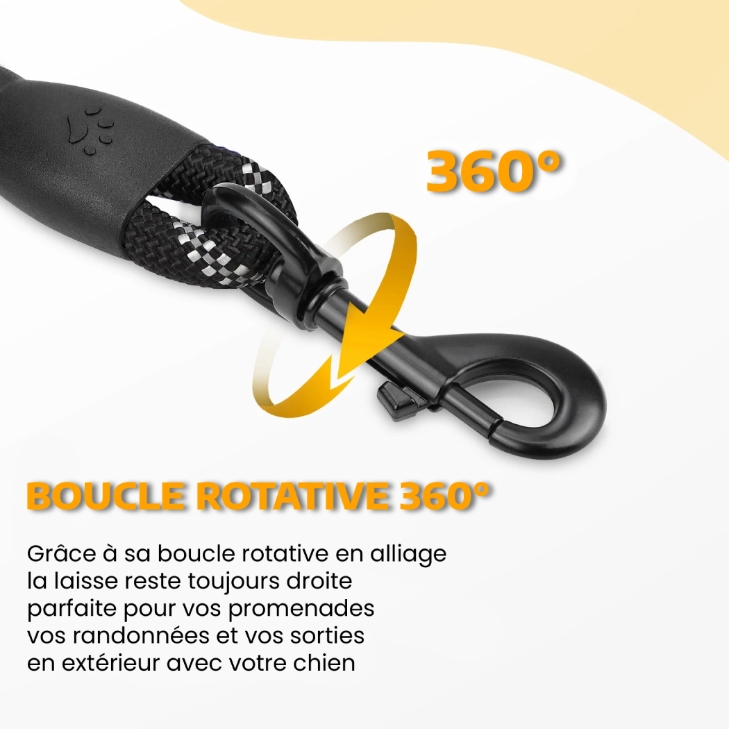 Laisse Confort+ Sécurisée