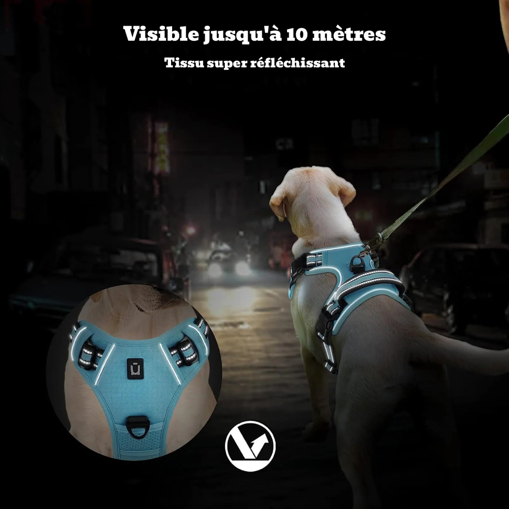 Harnais anti-traction pour chien - Confort & Sécurité