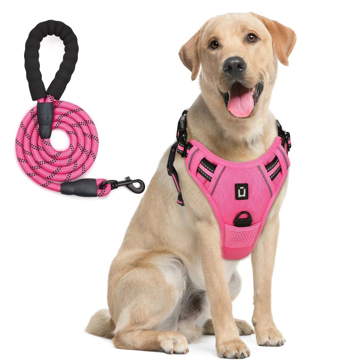 Pack Duo : Harnais Anti-Traction + Laisse Premium