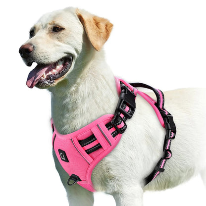 Harnais anti-traction pour chien - Confort & Sécurité