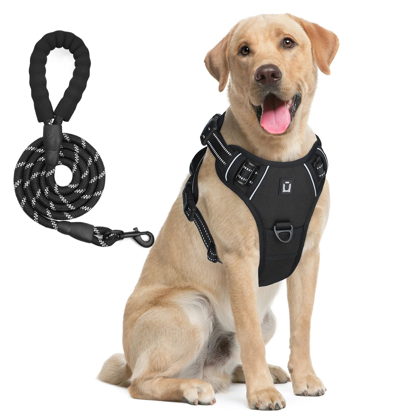 Pack Duo : Harnais Anti-Traction + Laisse Premium