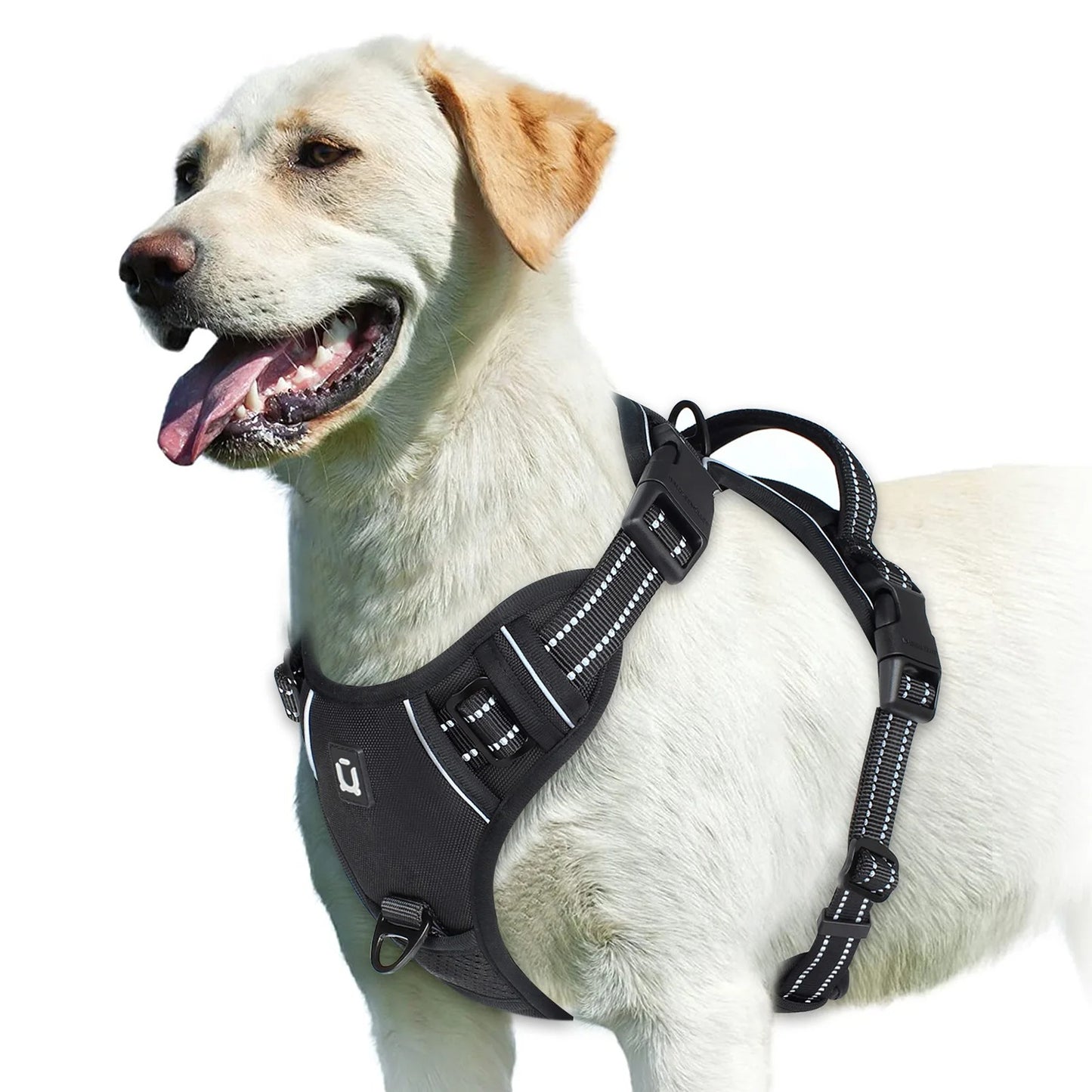 Harnais anti-traction pour chien - Confort & Sécurité